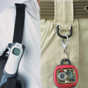 ION WANDER MANAGEMENT SYSTEM